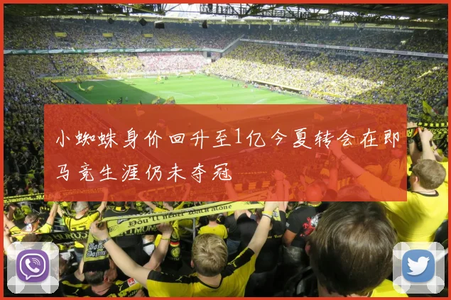 小蜘蛛身价回升至1亿今夏转会在即马竞生涯仍未夺冠